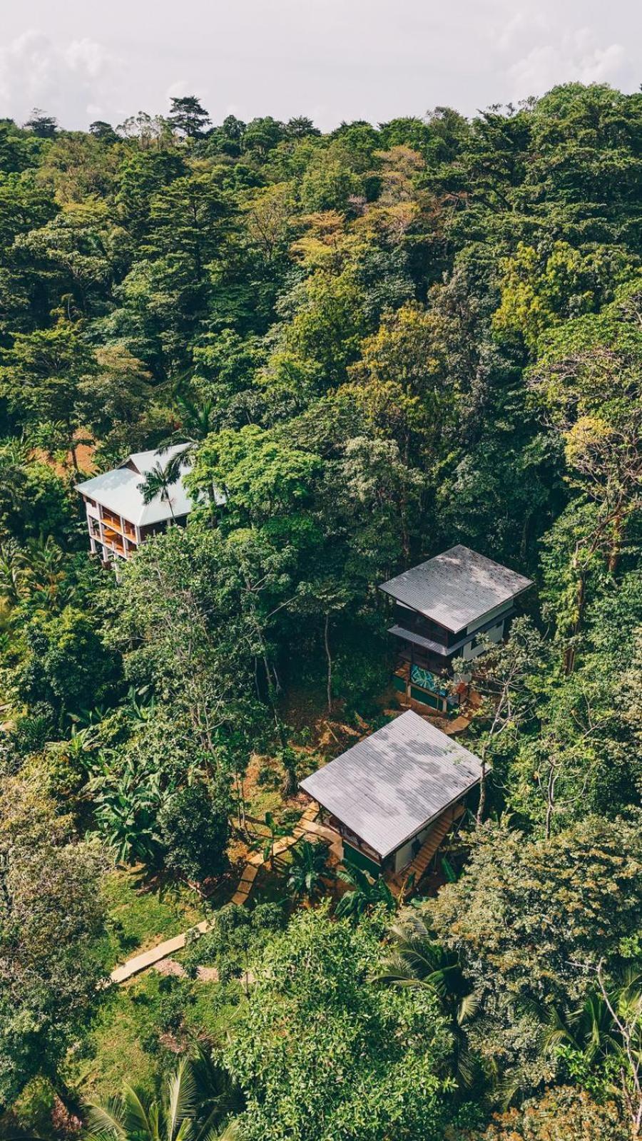 Roam Yoga & Wellness Lodge Bocas del Toro Buitenkant foto